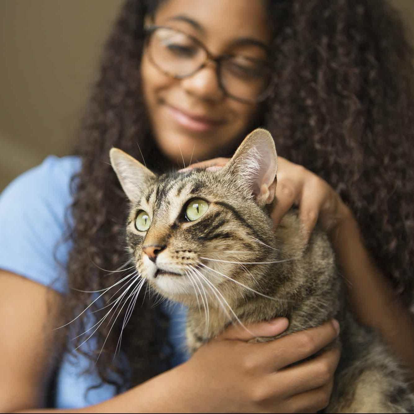 A girl with a pet cat on her lap.