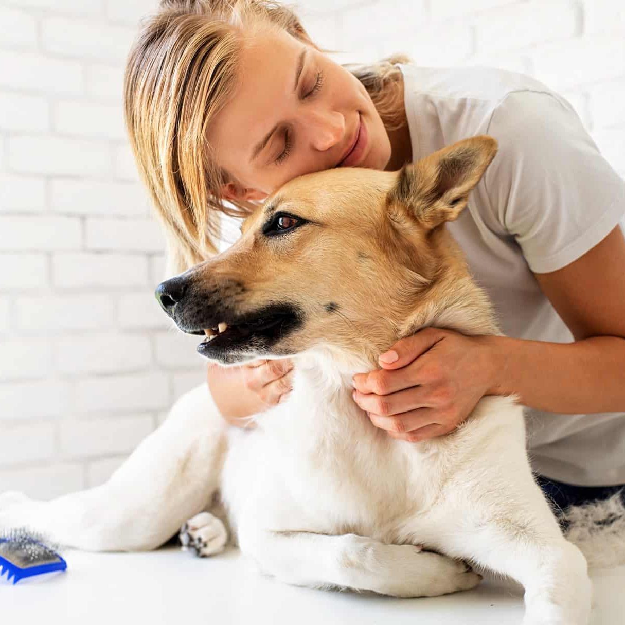 Pet care concept. Young blond woman hugging her mixed breed dog